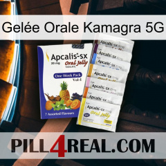 Gelée Orale Kamagra 5G 11
